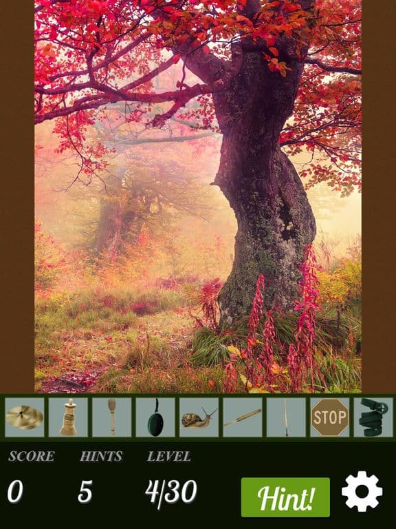 Hidden Object - Autumn Leaves screenshot 3