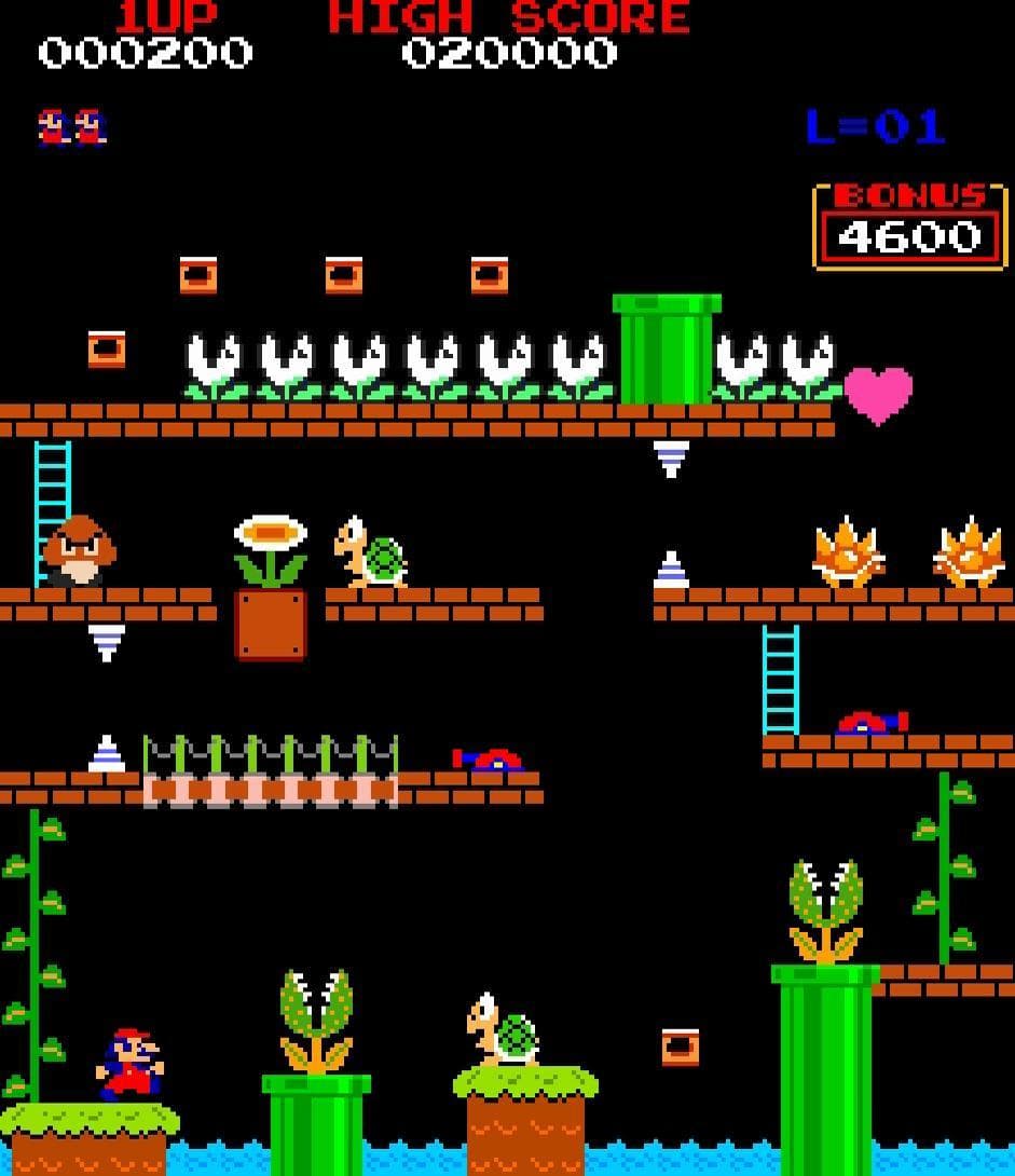 Donkey Kong Advanced screenshot 3