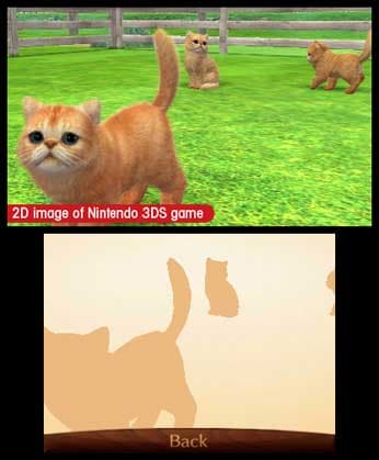 nintendogs + cats: Toy Poodle & New Friends screenshot 5