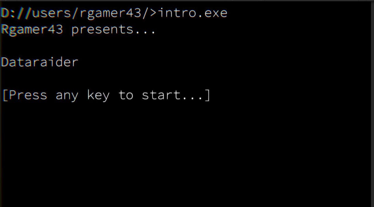 Dataraider 2 screenshot 2