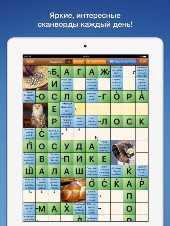 Сканворд Дня screenshot 2