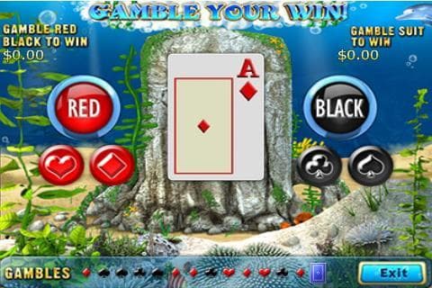 Dolphins Dice Slots