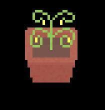 Odd Crops