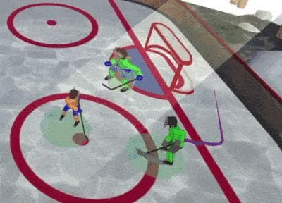 Bush League Hockey