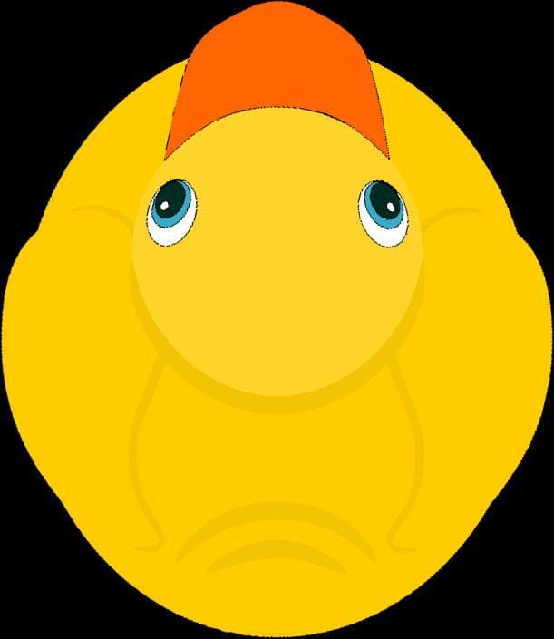 QUACK.IO
