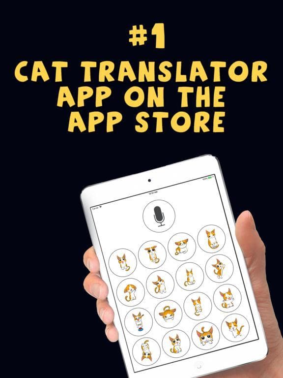 Cat Translator Deluxe screenshot 2