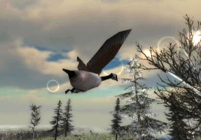 North American Hunting Extravaganza screenshot 5