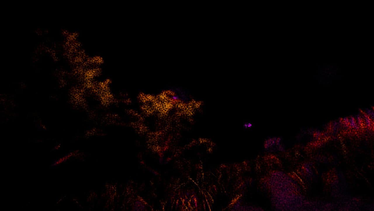 Goodbye Neoma screenshot 4