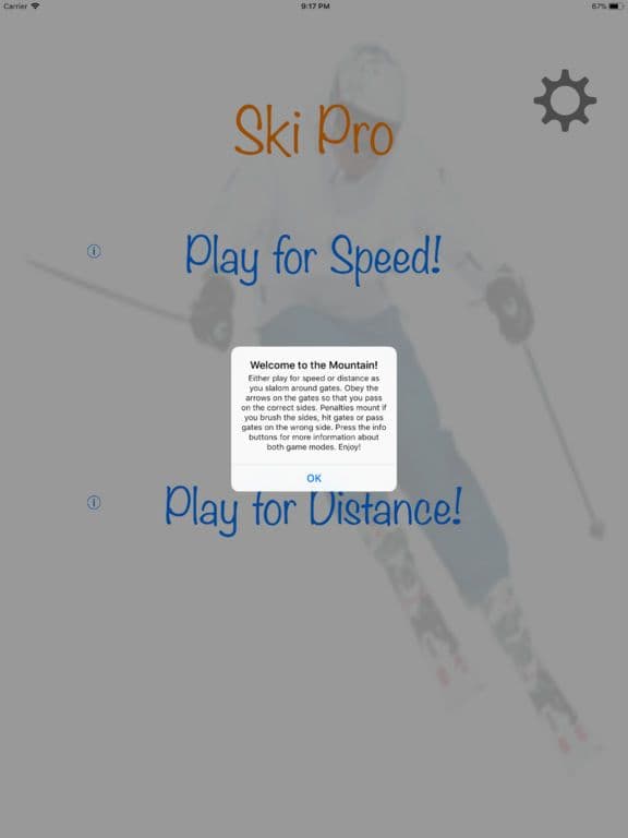 Ski Pro screenshot 3