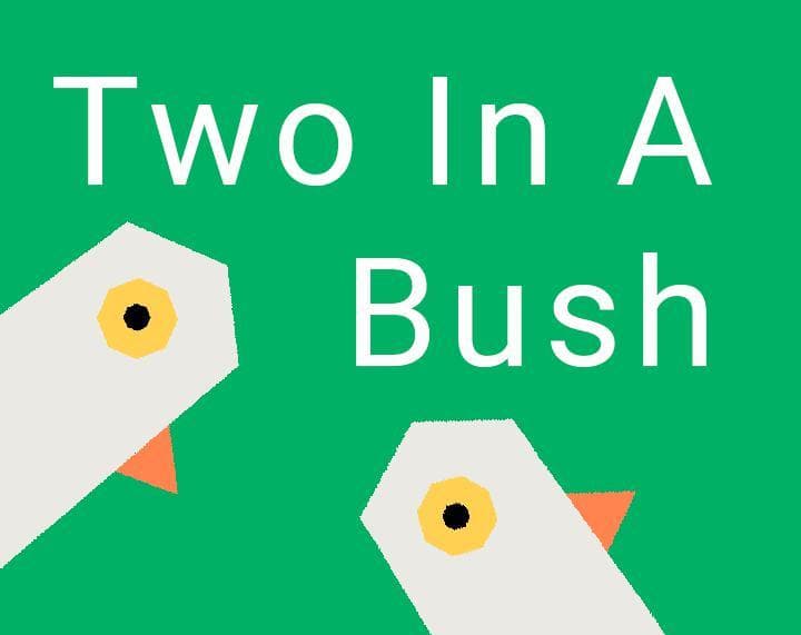 Two In A Bush screenshot 2