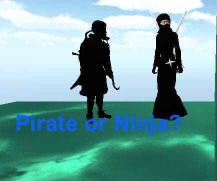 Ninja vs Pirate