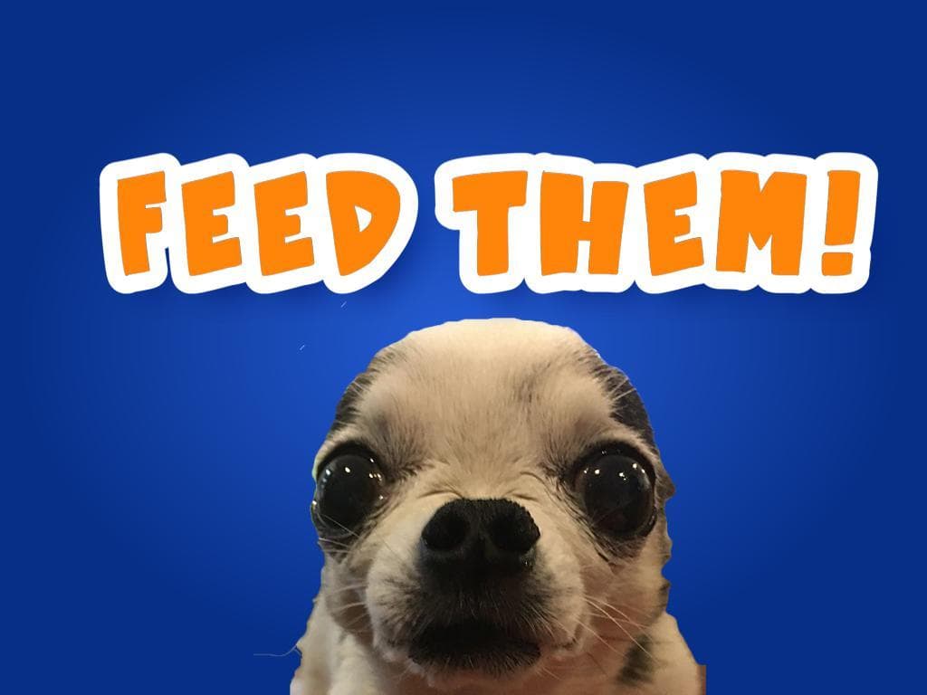 Feed Them