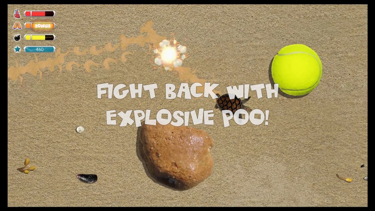 Turtle Quest screenshot 5