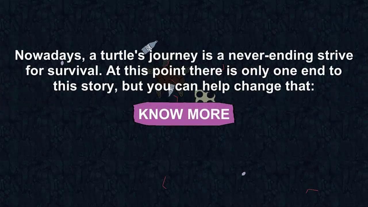 A Turtles Journey