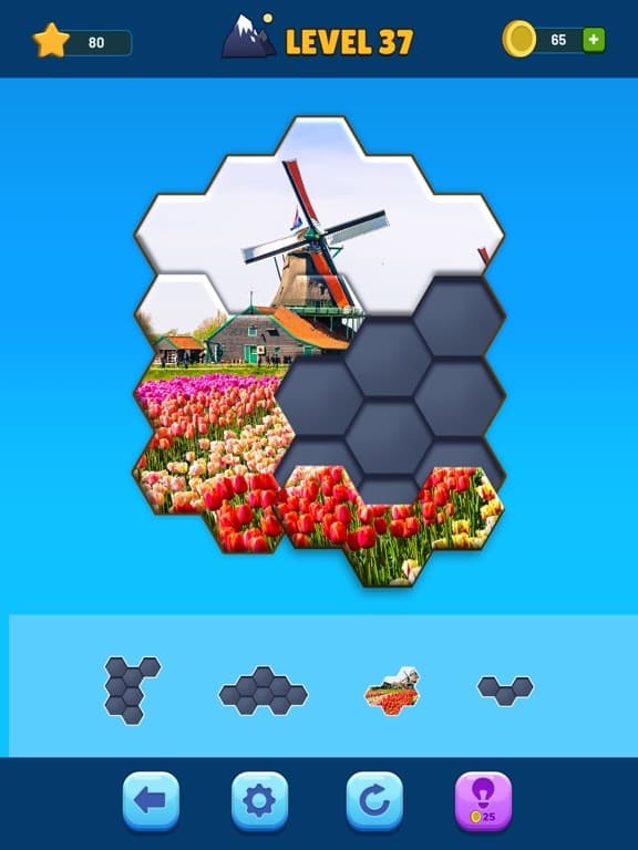 Hexa Jigsaw Puzzle screenshot 4