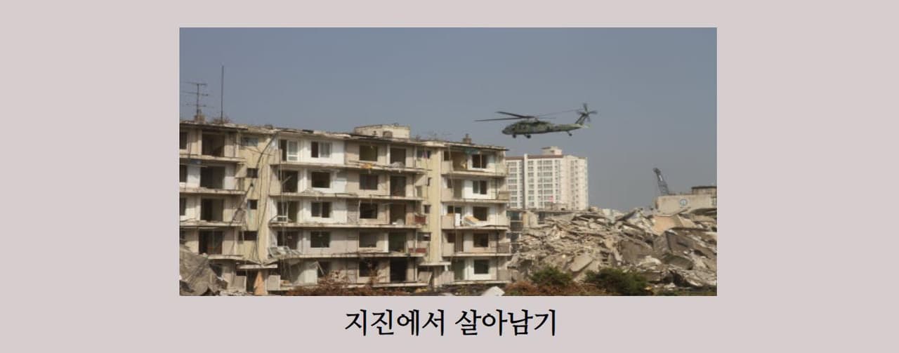 Surviving an Earthquake