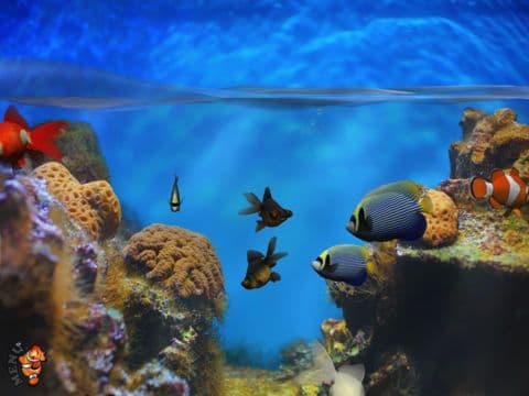 Fish Fingers! 3D Interactive Aquarium FREE screenshot 2