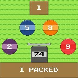 Pack! Pack The Ball Pond!