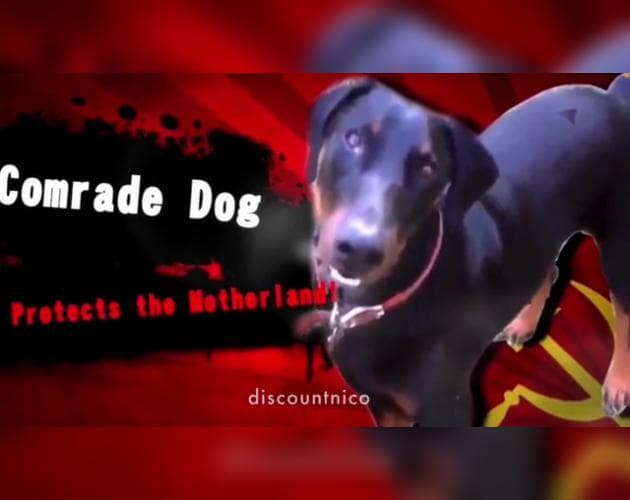 comrade dog protects the motherland game