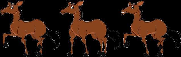 Evan Granito is a horse.