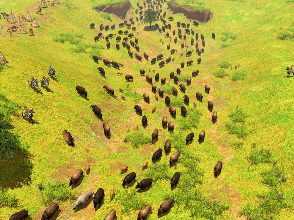 Age of Empires III screenshot 5