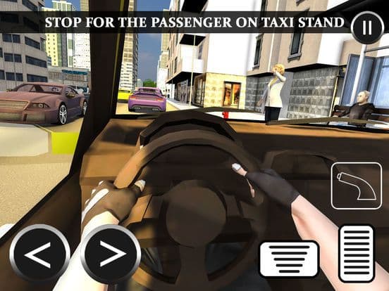 New York City Taxi Driver 2018