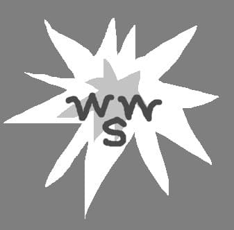 World War Shooter