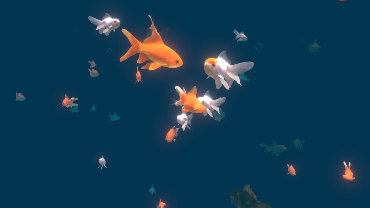 VR Aquarium -雅 screenshot 3