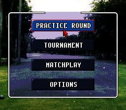 World Masters Golf screenshot 4