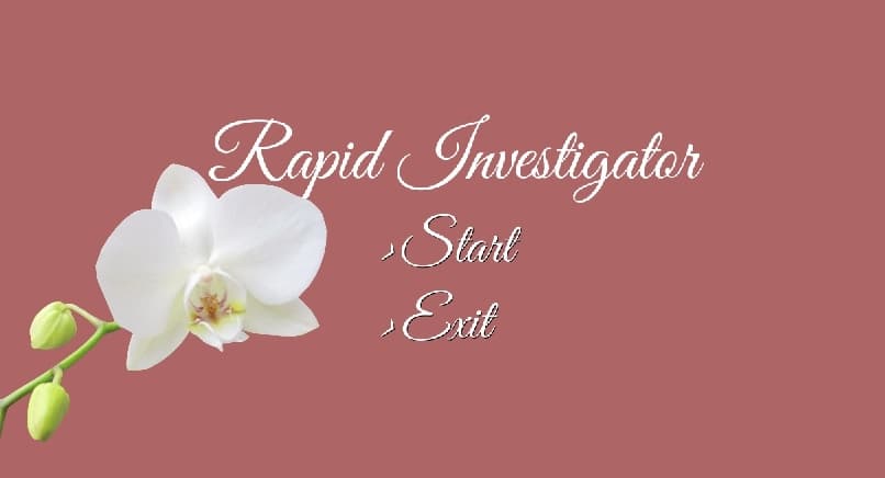 Rapid Investigator