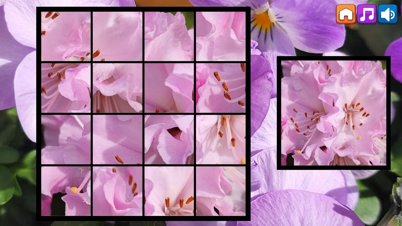 OG Puzzlers: Spring 2K24 screenshot 6