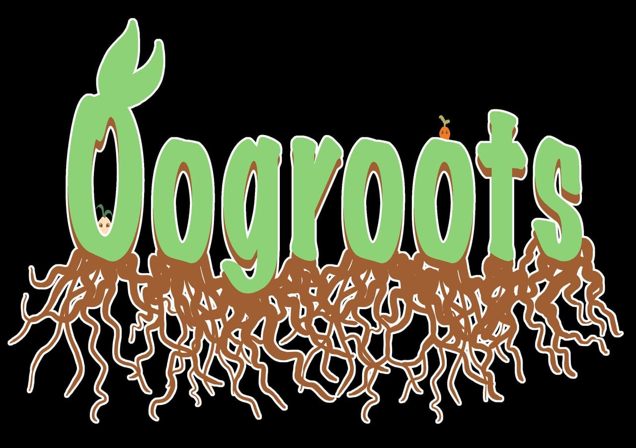 Oogroots