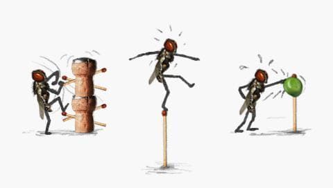 Fly Fu screenshot 3