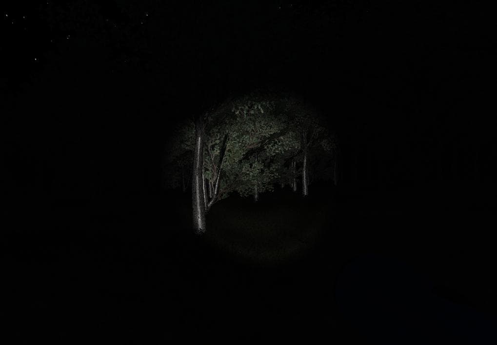 Slender: Strange Forest screenshot 6
