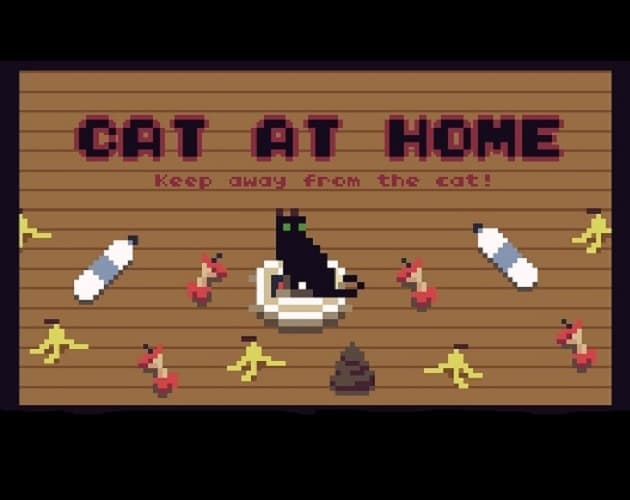 Cat at home