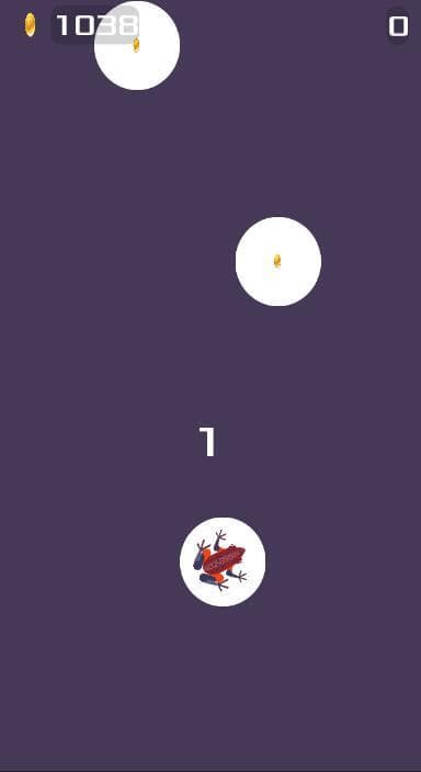 Frog Jump (napome)