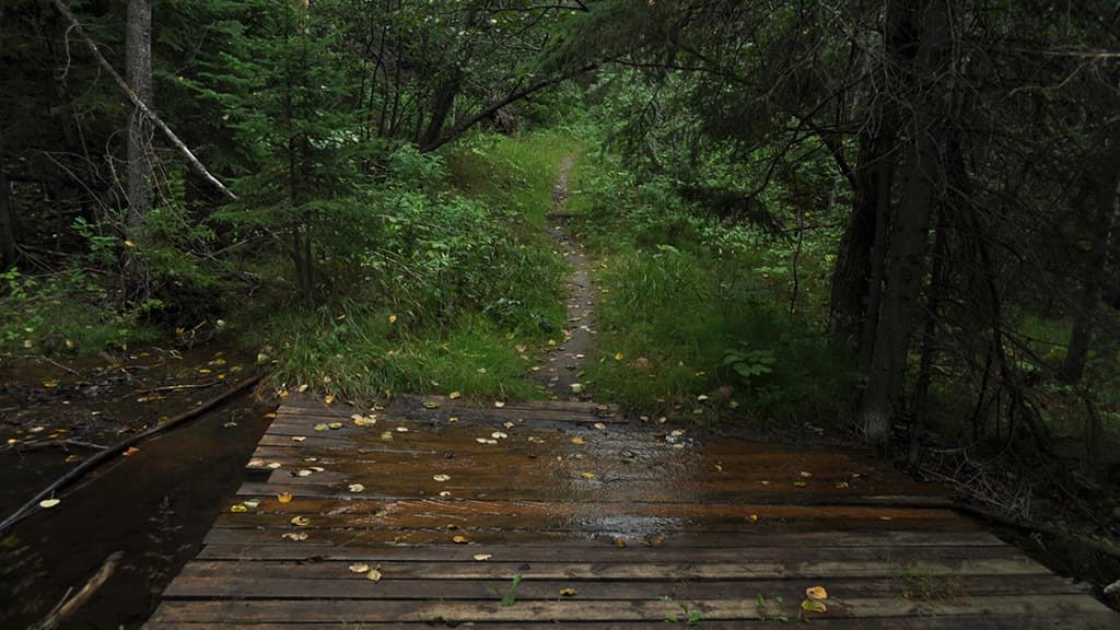 Return (GregWS) screenshot 3