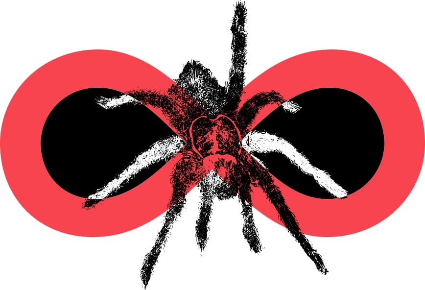 Why is it always spiders?!