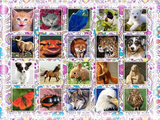 Puzzle game kids age 2-3 years