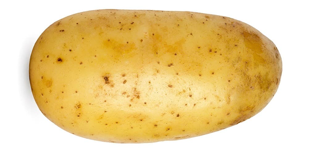 collecting potato