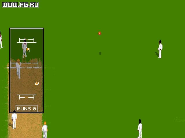 Allan Borders Cricket screenshot 3