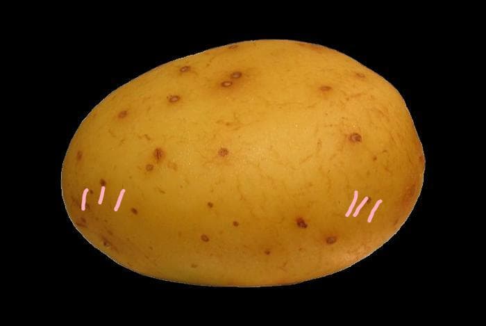 Im in love with a potato visual novel dating sim