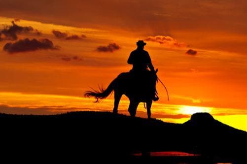 Cowboy Readings