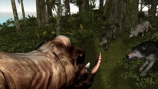 Life Of Wolf 2014 FREE