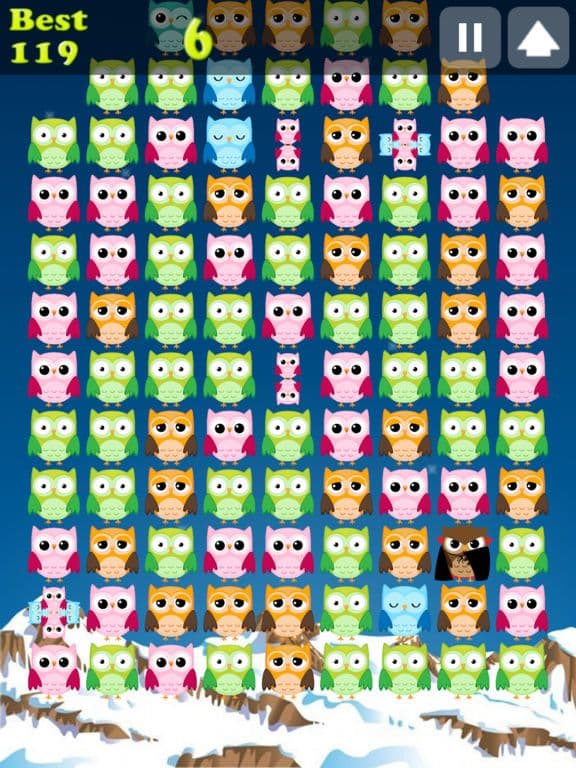 Cute Owl Pop screenshot 4