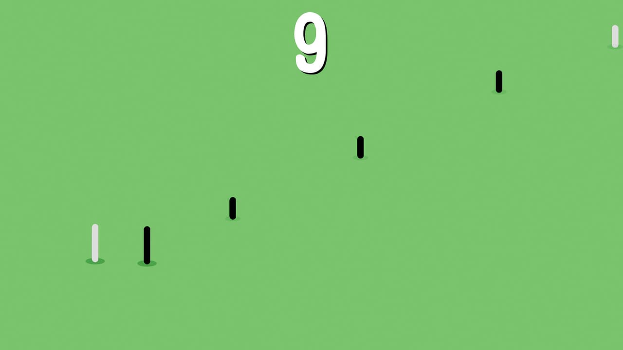 Sticks