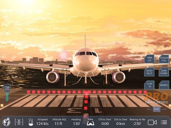 Pro Flight Simulator New York