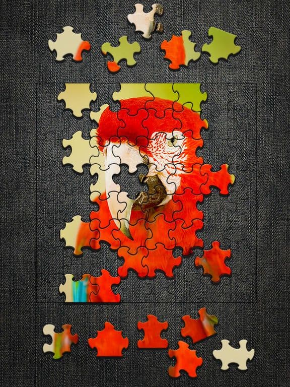 Jigty Jigsaw Puzzles screenshot 6