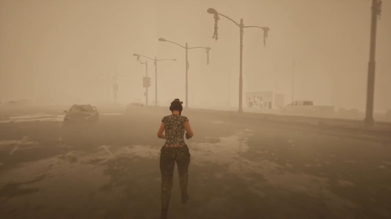SoleSurvivor screenshot 6