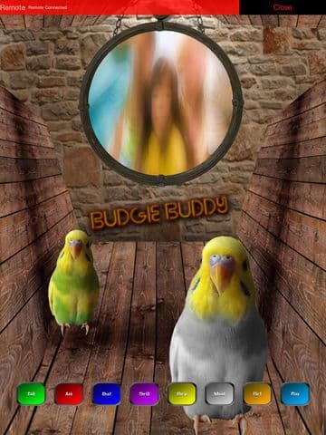 Budgie Buddy screenshot 4